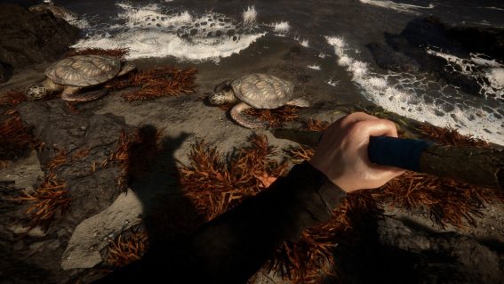 Sons of the Forest: Everything We Know – Gaming.net