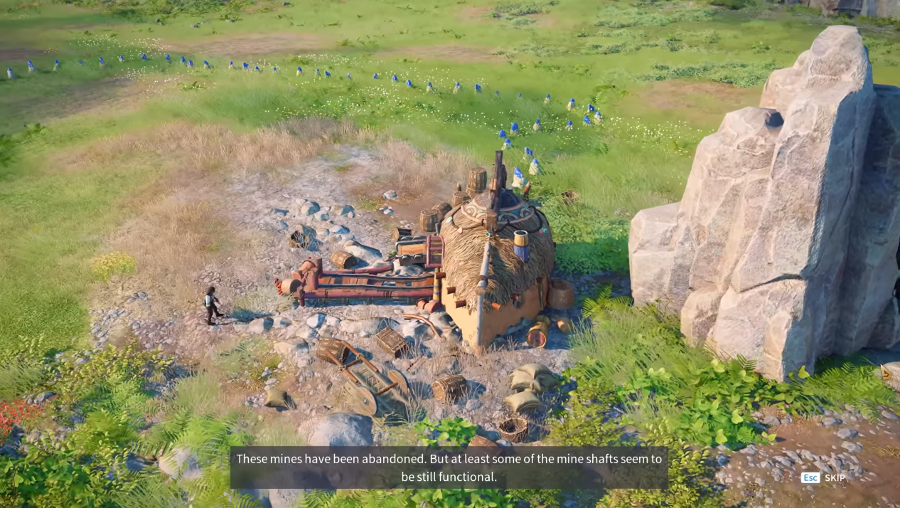 The Settlers: New Allies