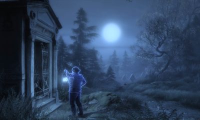 يضيء الشكل مشهد الغابة الغامض المضاء بضوء القمر