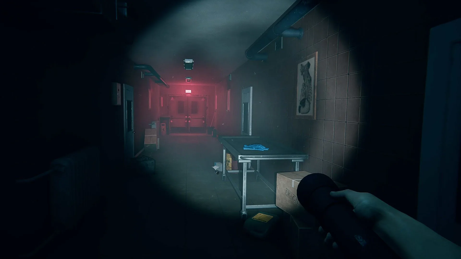 Hallway setting in Autopsy Simulator