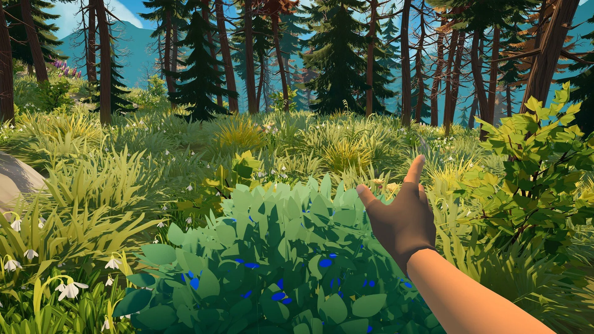 Outbound: Everything We Know - Gaming.net