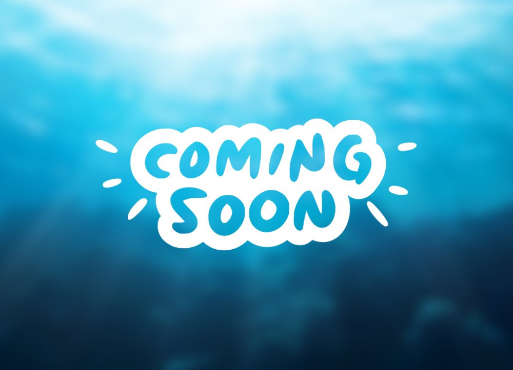 Reel Fishing: Days of Summer trailer coming soon