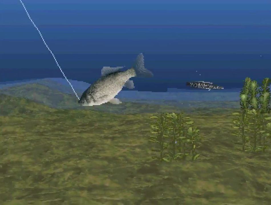 Fish caught