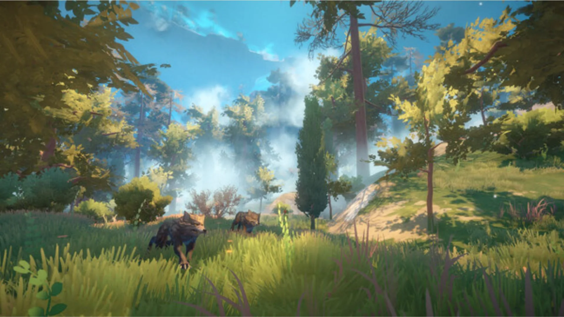 Animals in the wilderness