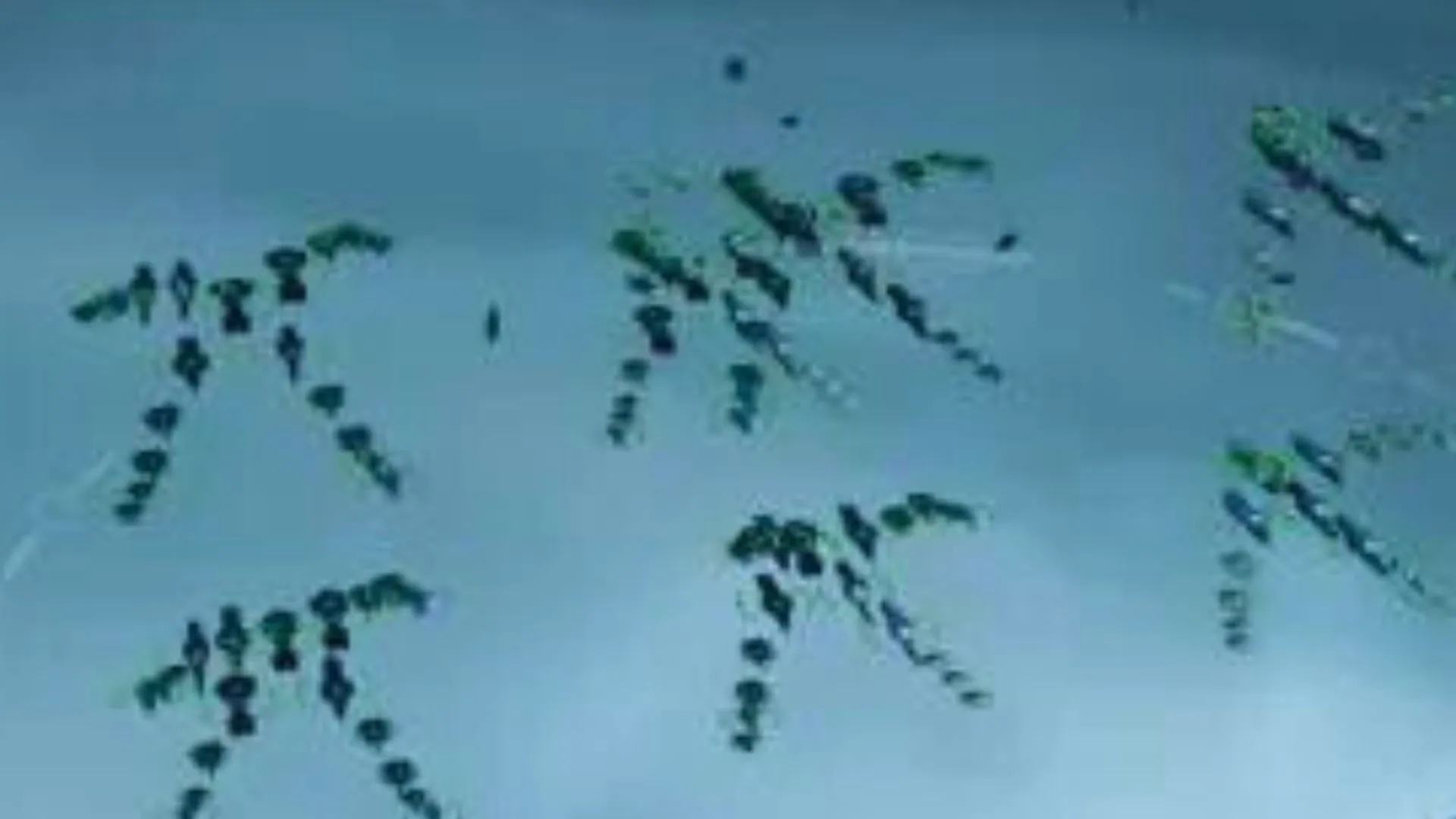 Claw formation
