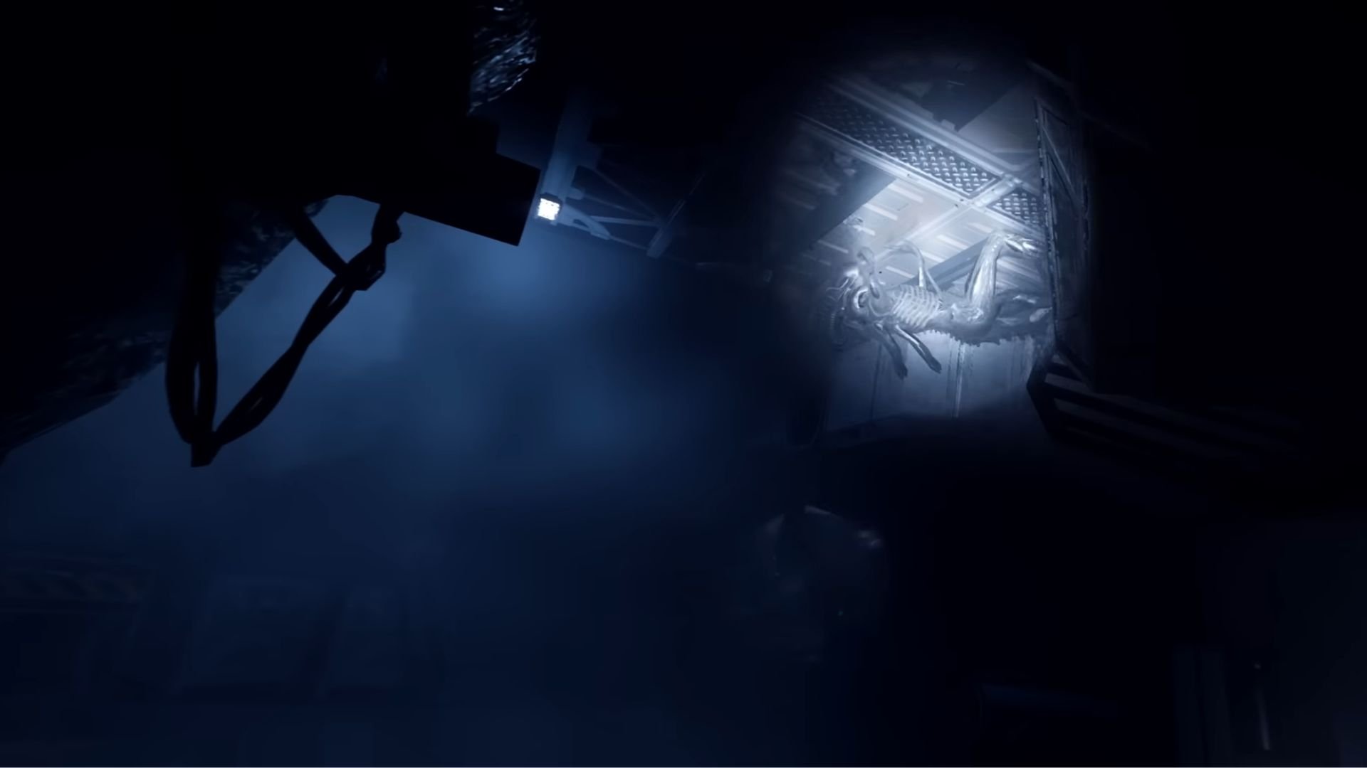 Người chơi phát hiện một xenomorph