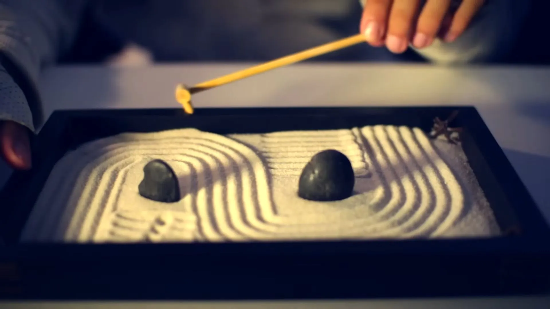 Zen Garden