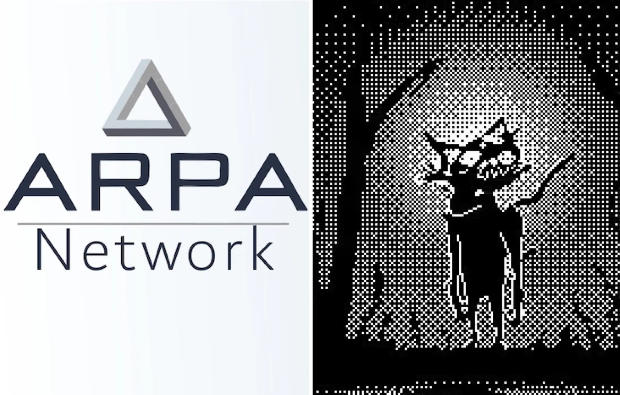 ARPA Network