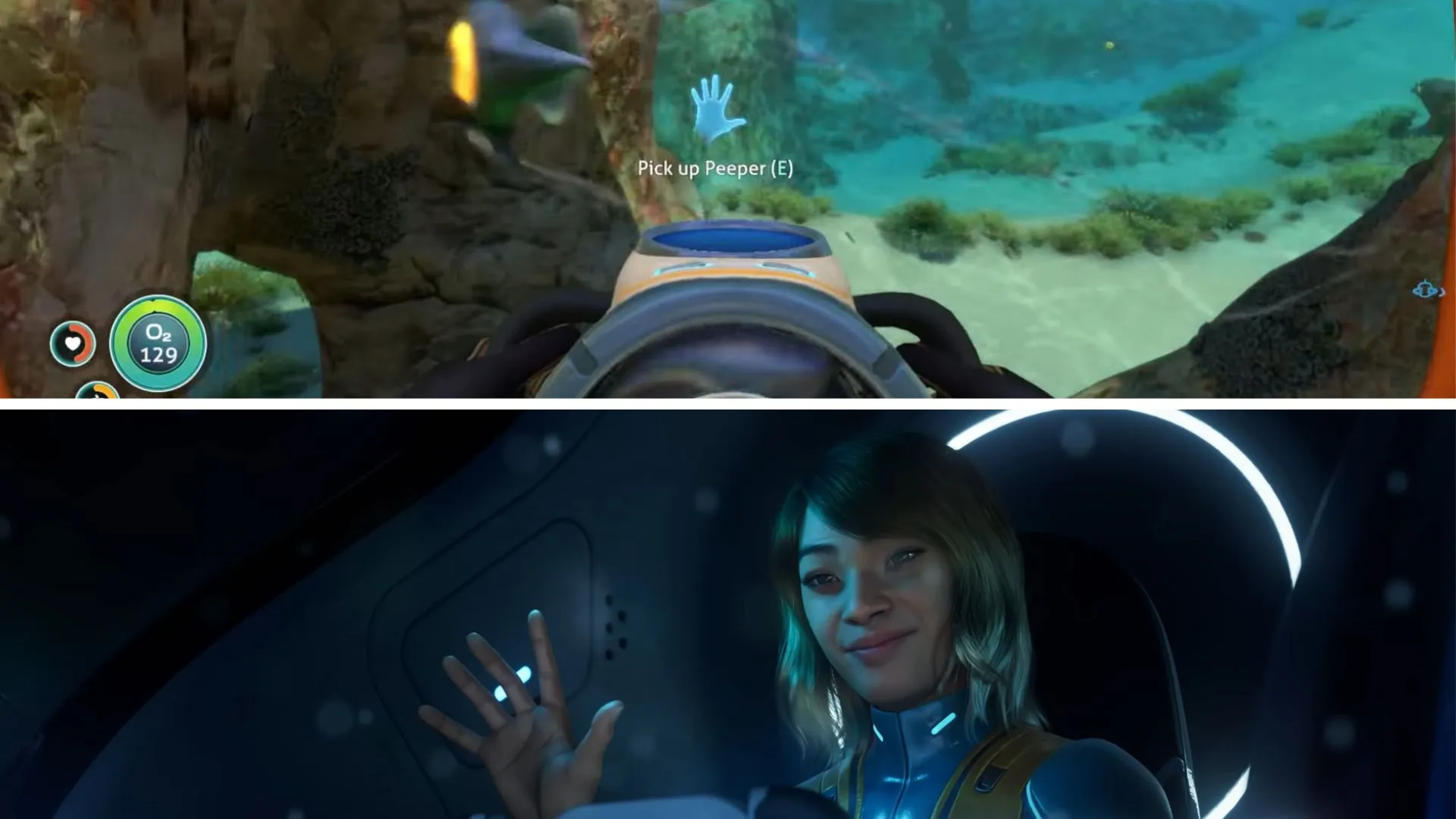 comparison