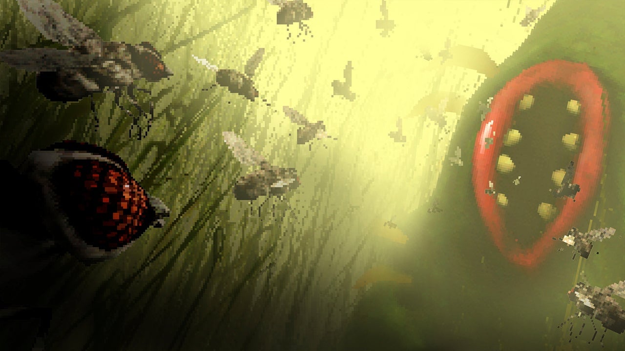 The Hungry Fly Promotional Art