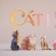 Catly: Everything We Know