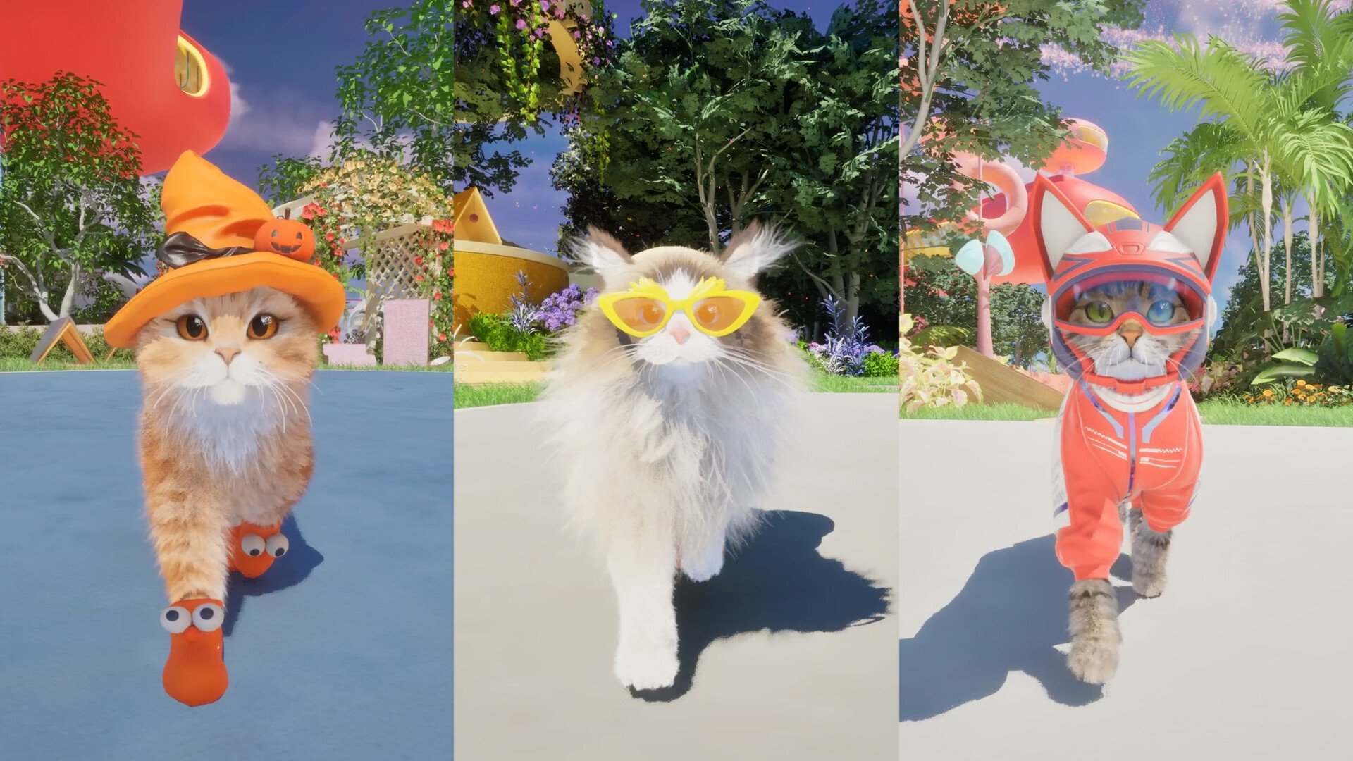 What is Catly