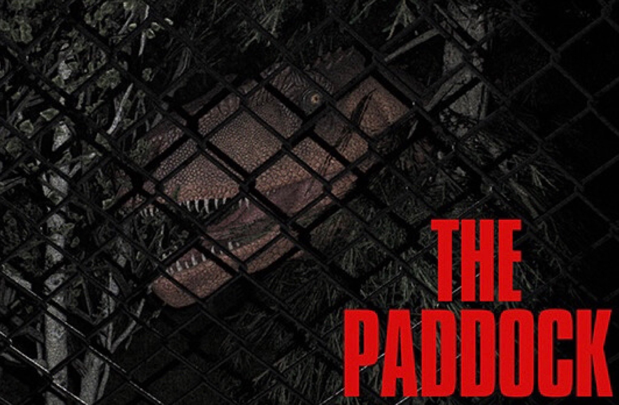 The Paddock