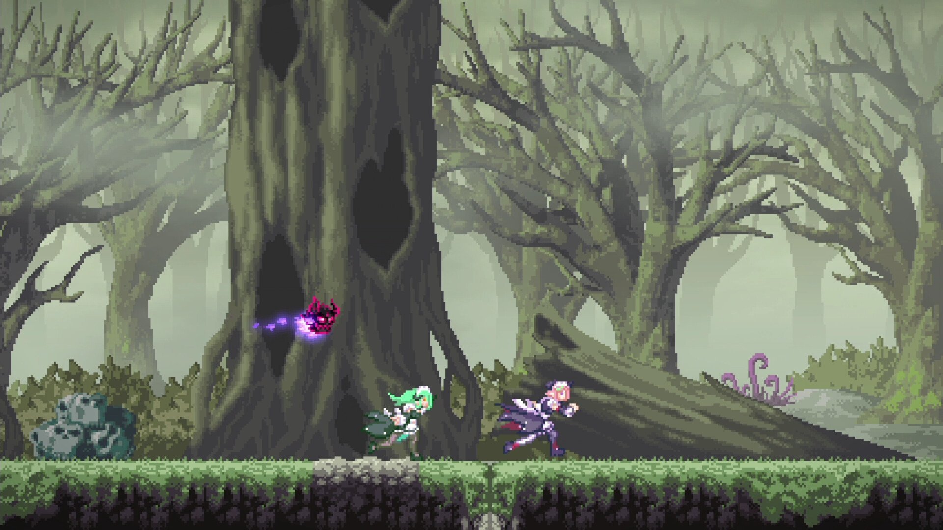 forest