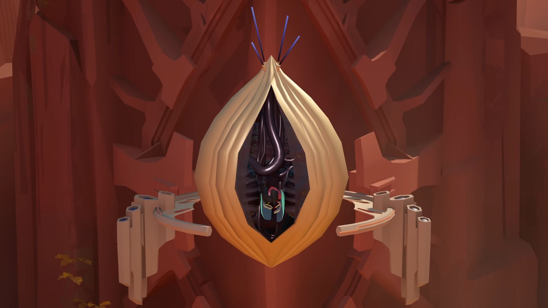 Cocoon