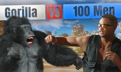 Art promotionnel Gorille contre 100 hommes