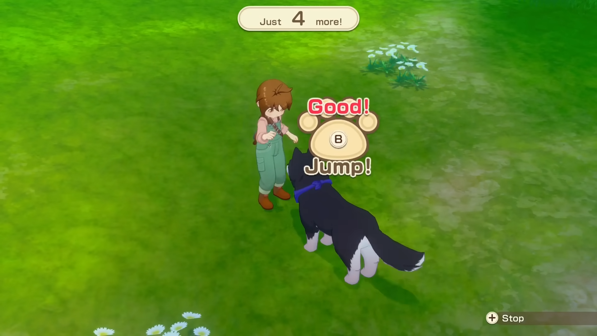 petting dog