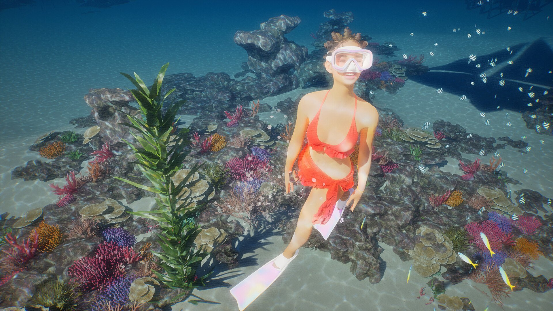 浮潜