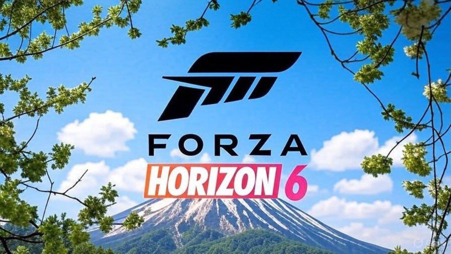 Forza Horizon 6 Promotional Art