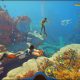 Three divers swim through vibrant coral habitats in Game Pass crossplay game