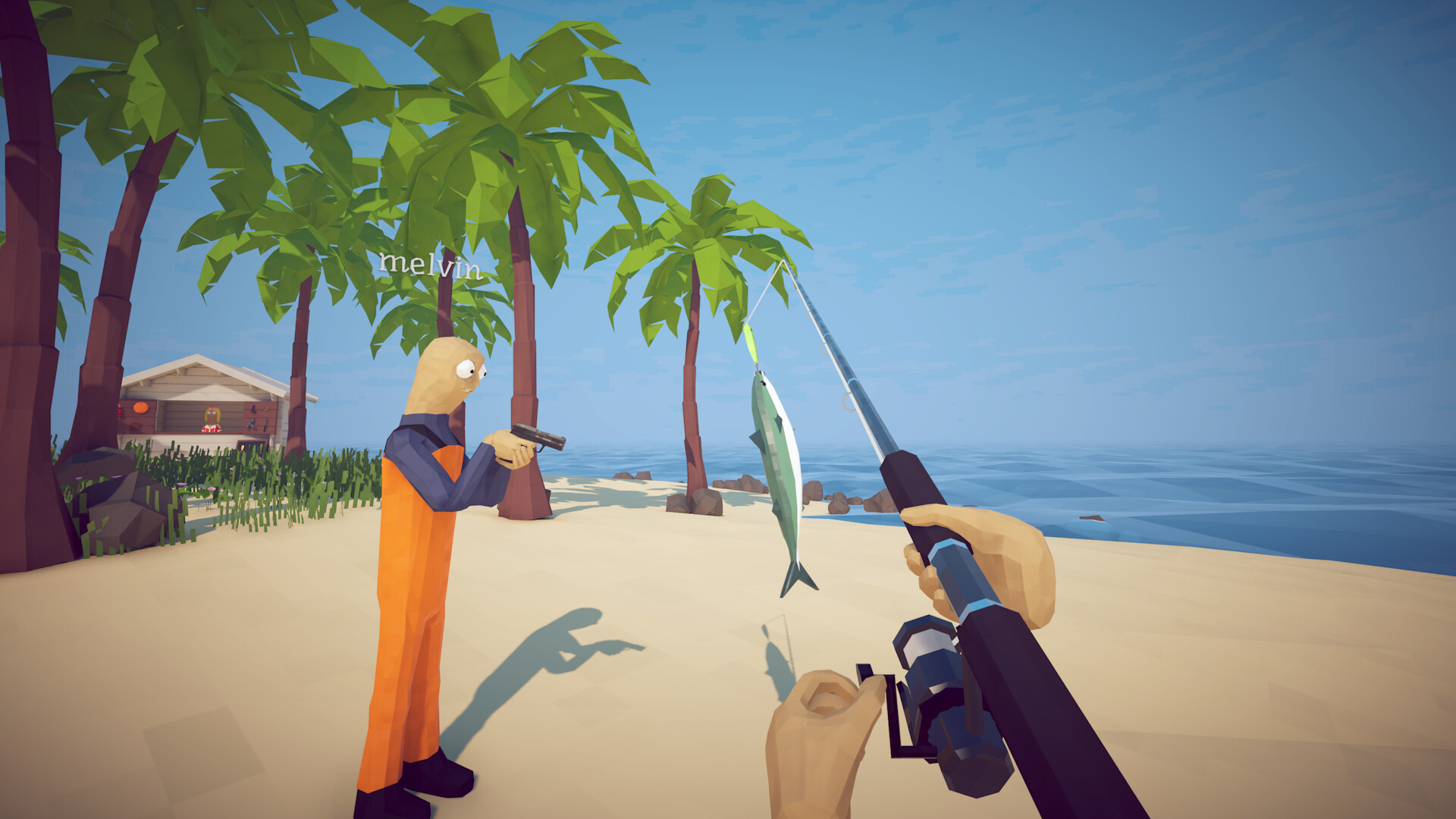Fishing Gameplay, How to Fish