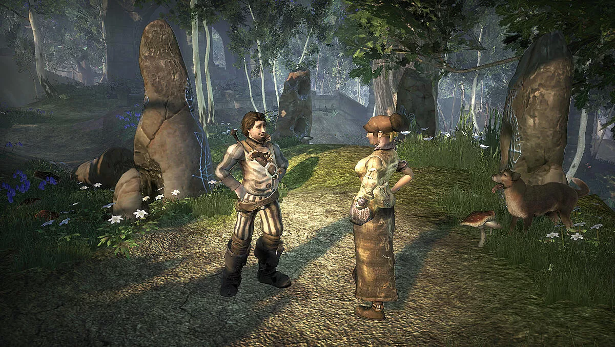 Fable II NPC Interaction