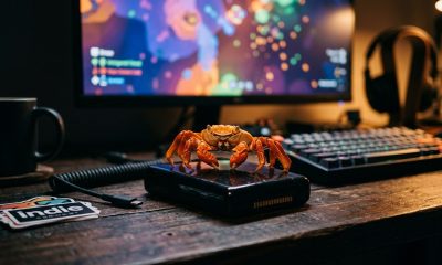 Aggro Crab Opens Publishing Label to Small Indie Teams