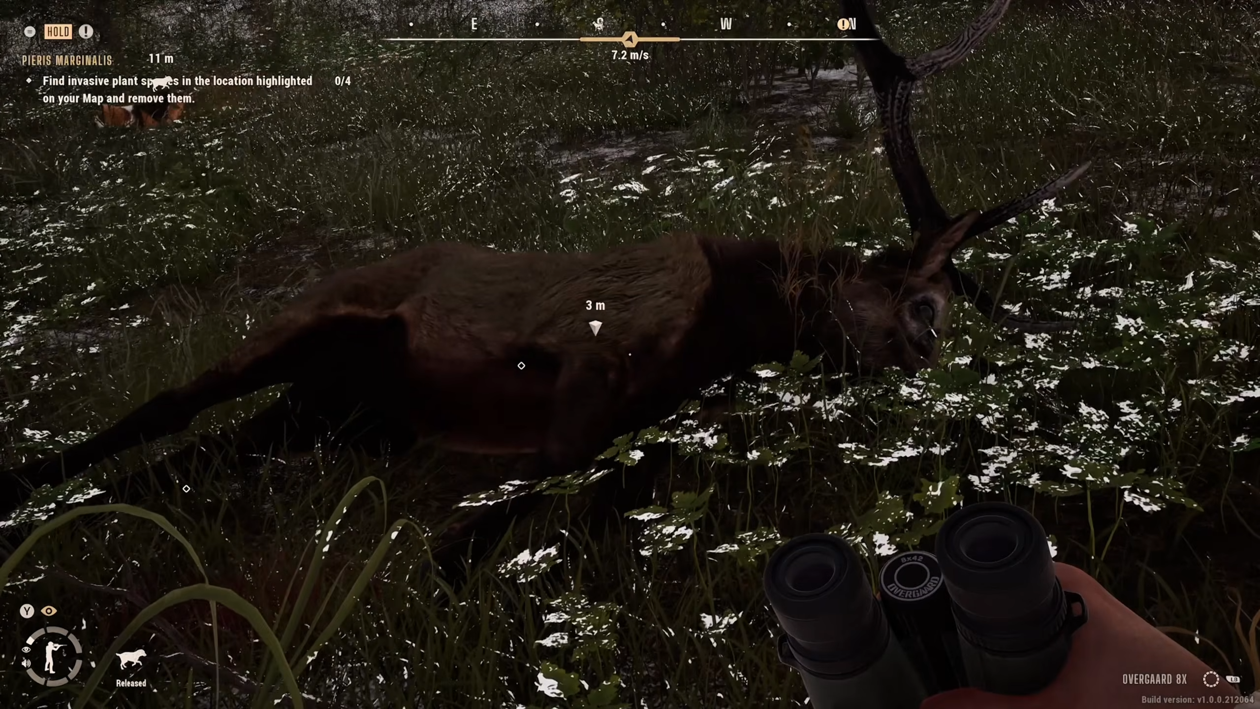 Moose