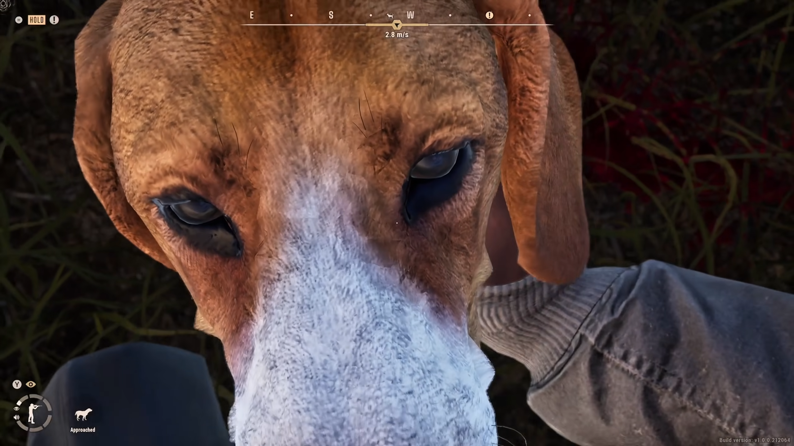 doggy