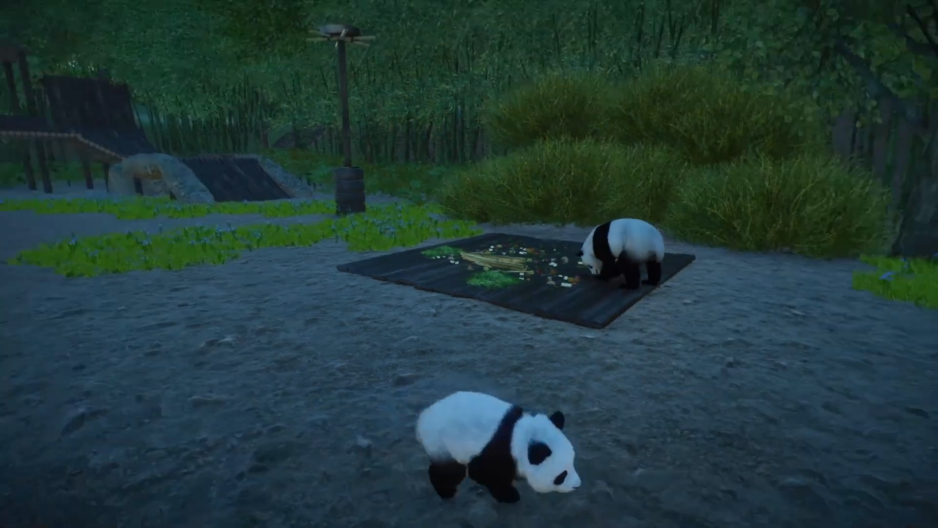 two pandas