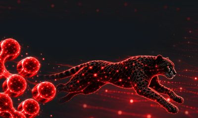 Amelco Launches Amplify, an AI Development Platform for Operators
