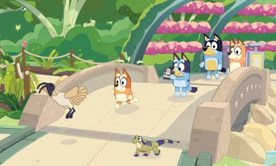 Bluey holds a camera as Bingo follows an ibis across a bridge, with Bandit and Chilli behind them in Bluey's Happy Snaps.