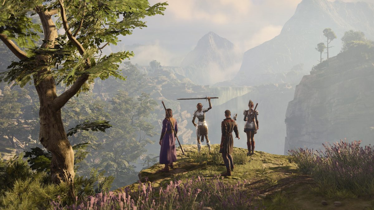 An adventuring party overlooks a misty valley in Baldur's Gate 3.