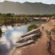 Visitors follow a path beside a river and a zebra habitat in Planet Zoo 2.