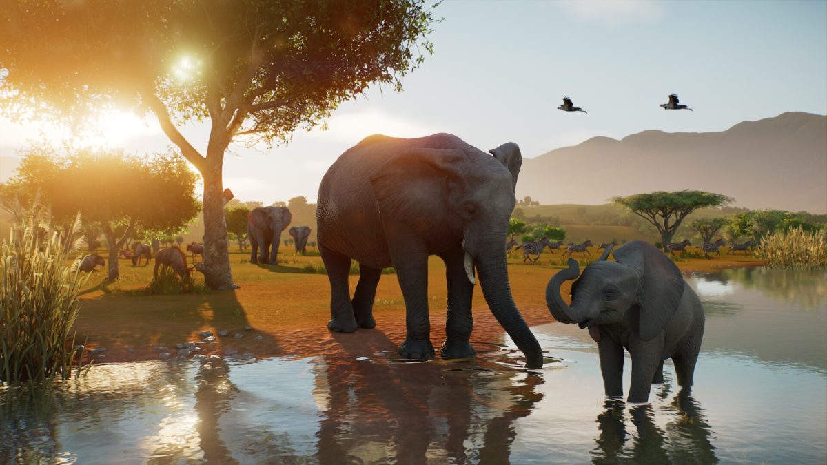 An adult elephant and calf stand in a sunlit watering hole, with zebras and other wildlife behind them in Planet Zoo 2.