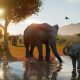 An adult elephant and calf stand in a sunlit watering hole, with zebras and other wildlife behind them in Planet Zoo 2.