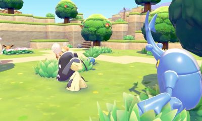 Pokémon face each other on grassy terraces surrounded by fruit trees in Pokémon Pokopia.